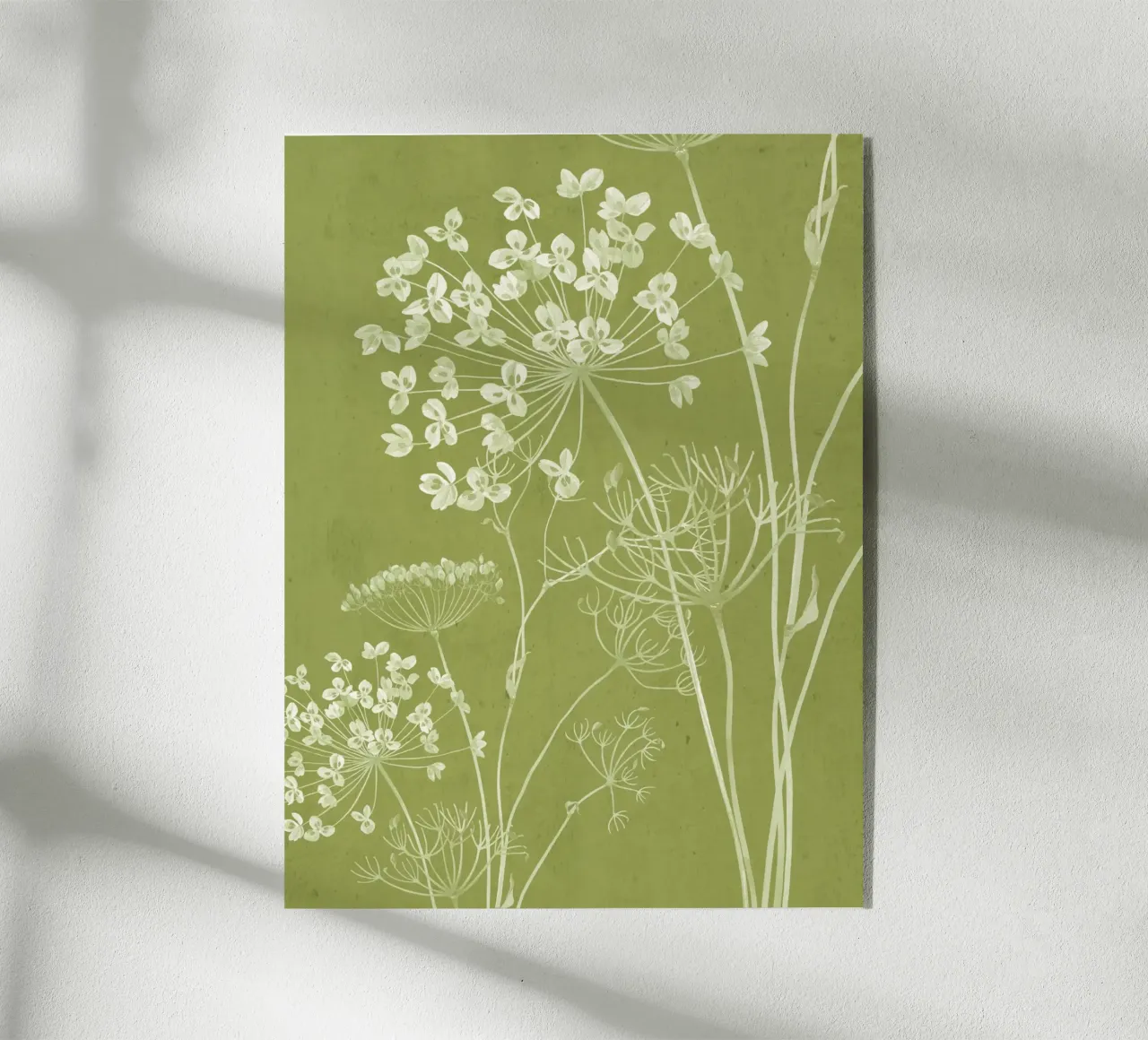 Fiori selvatici 14 plexiglass da ThingDesign