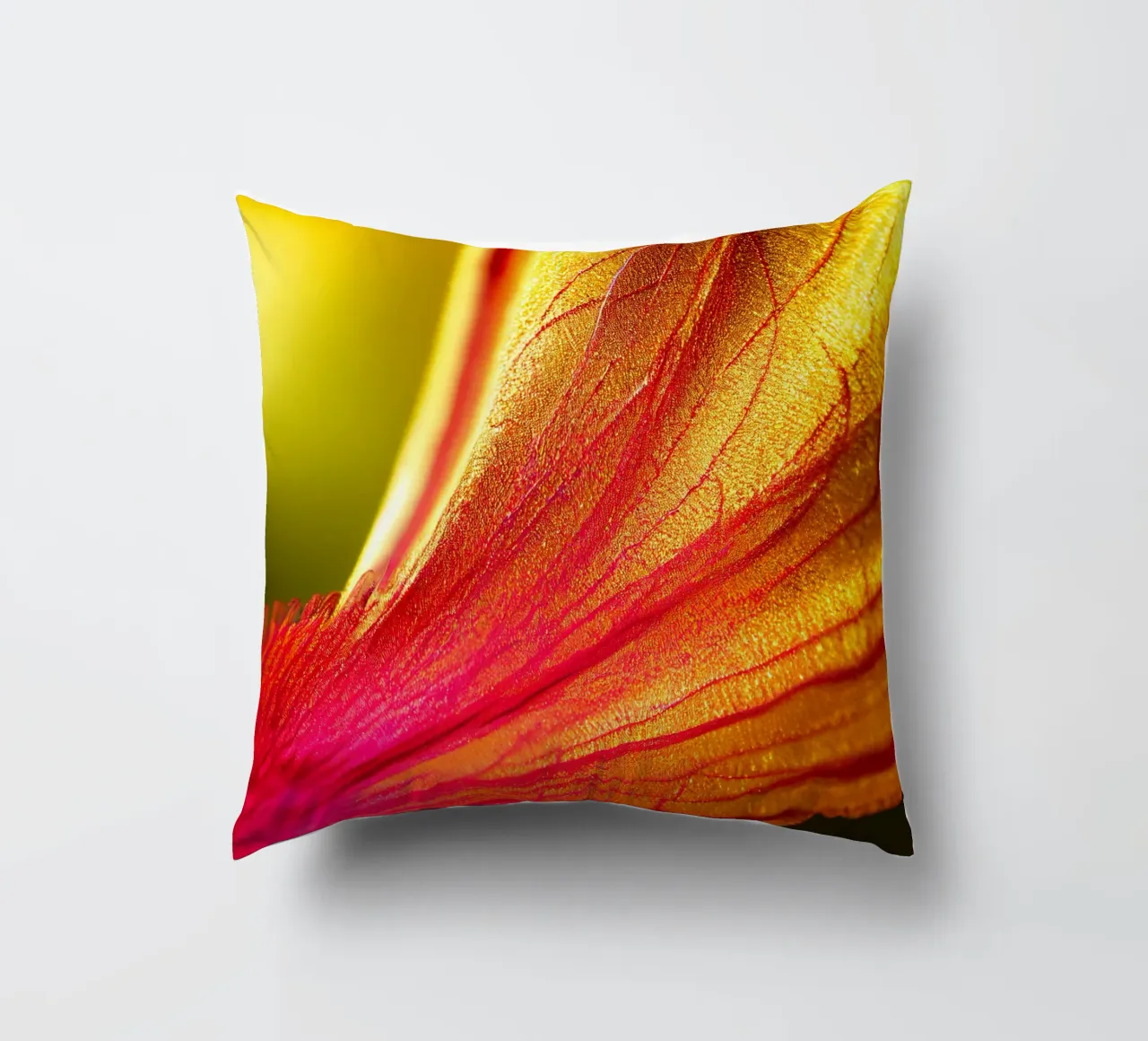 Macro Delonix Regia Flower cuscino da Bold Blooms