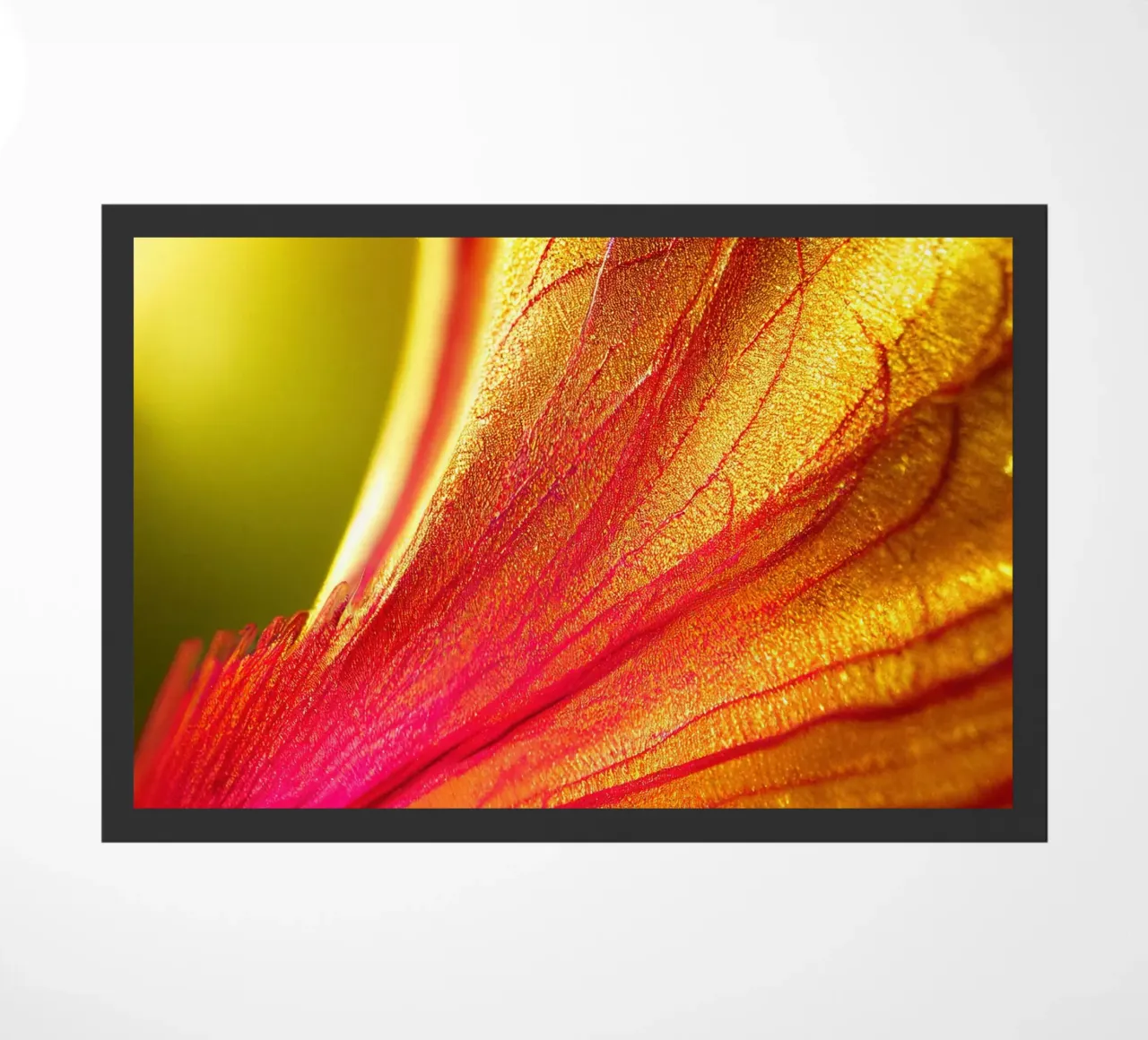 Makro Delonix Regia Blume Fußmatte von Bold Blooms
