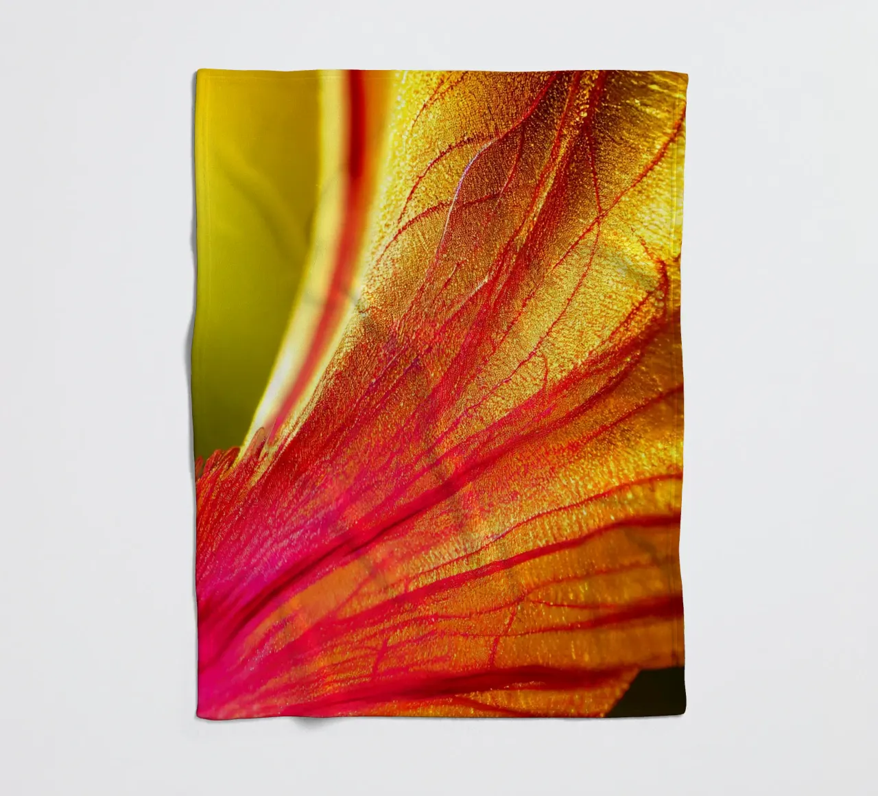 Macro Delonix Regia Flower coperta in pile da Bold Blooms