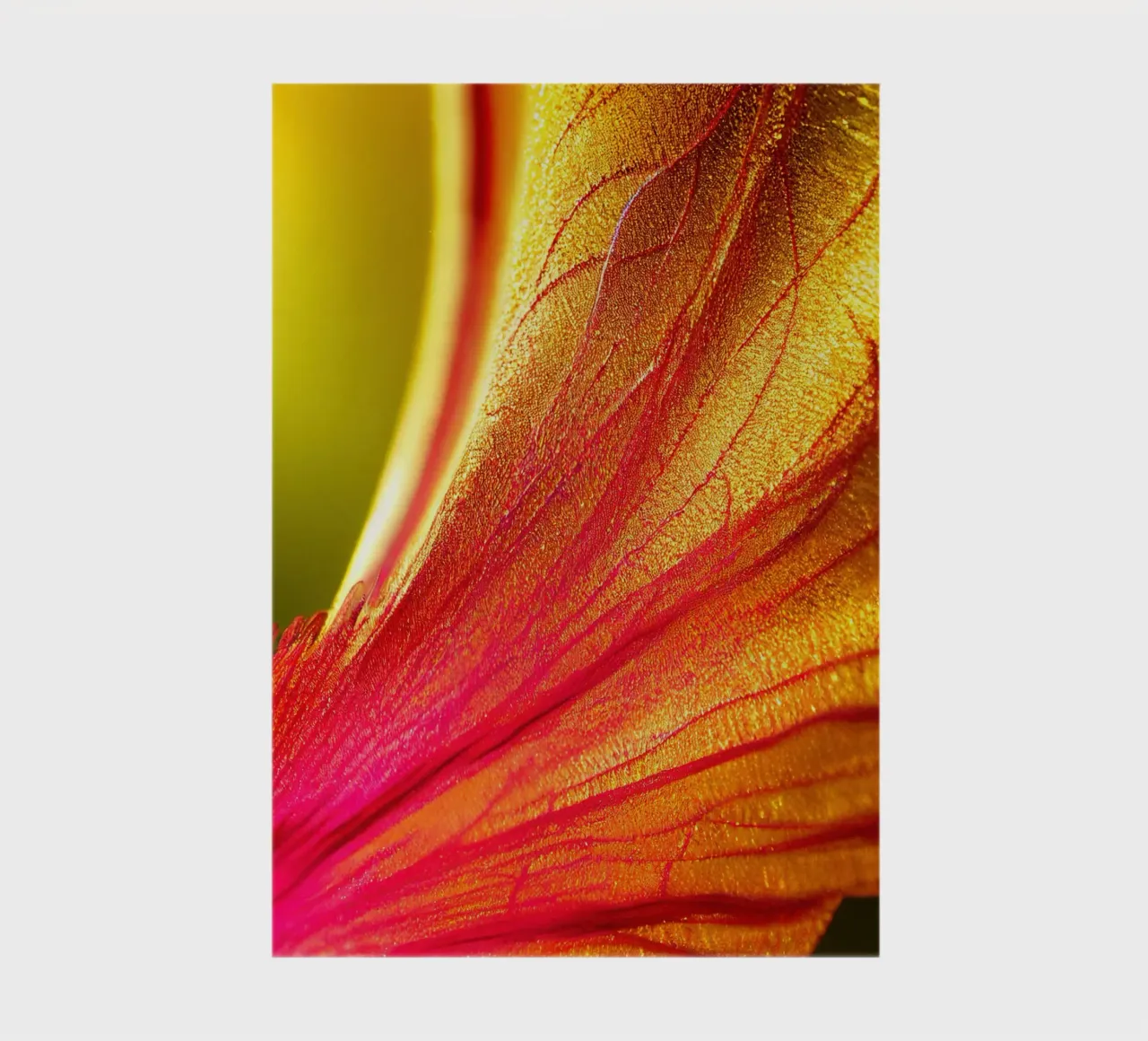 Makro Delonix Regia Blume Notizbuch von Bold Blooms