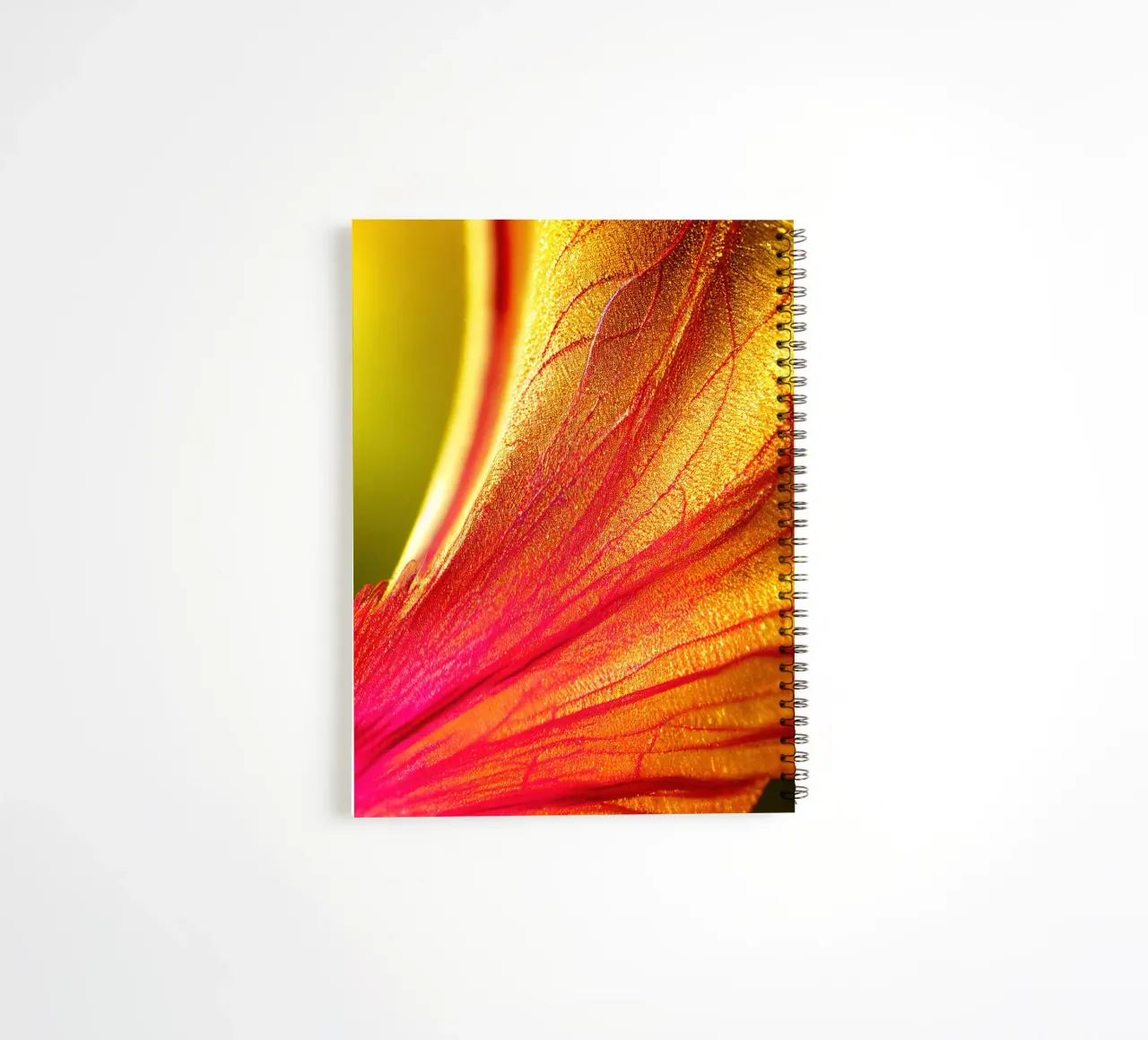 Macro Delonix Regia Flower diario ad anelli da Bold Blooms