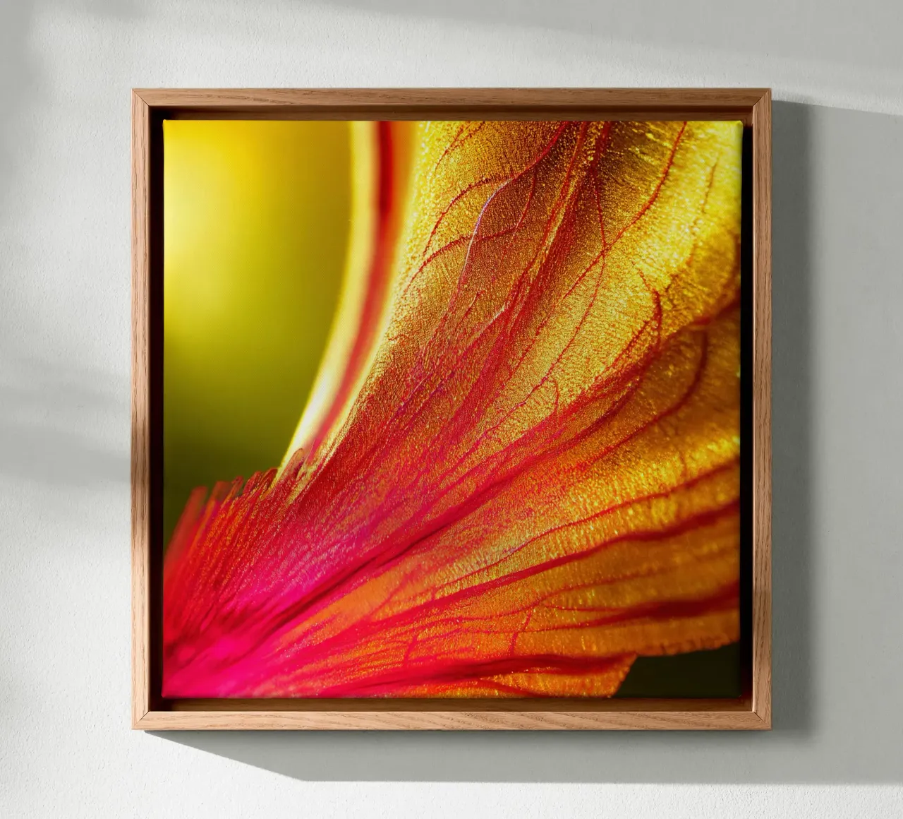 Macro Delonix Regia Flower tela da Bold Blooms