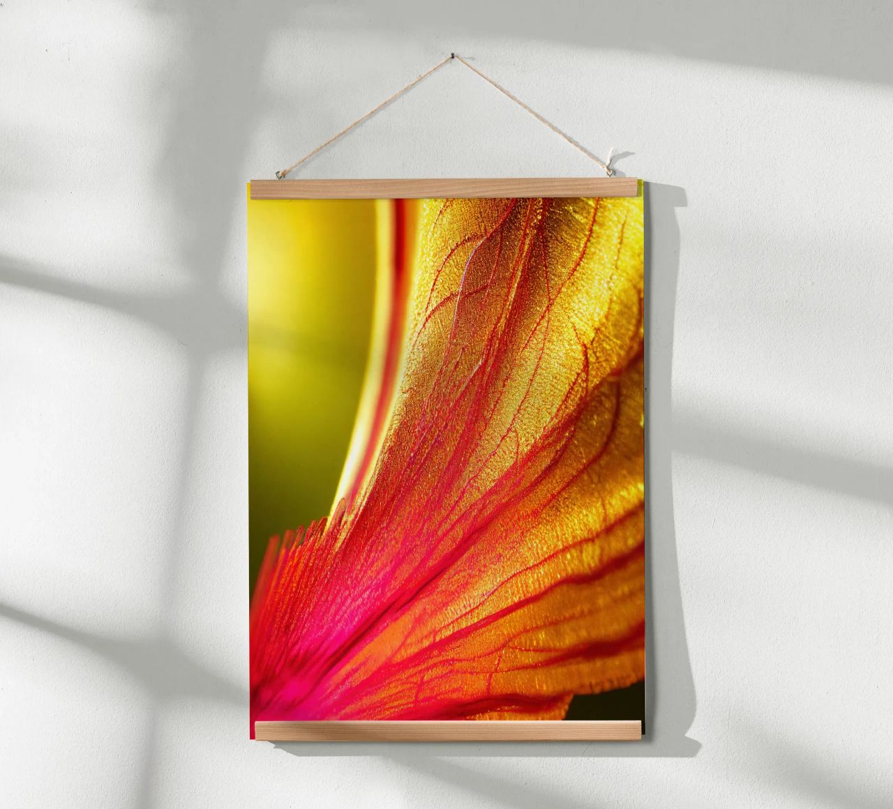 Macro Delonix Regia Flower carta hahnemühle da Bold Blooms