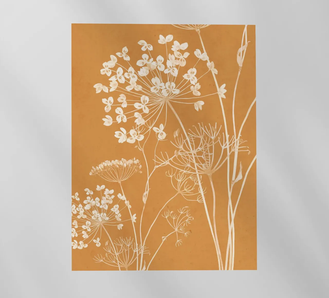 Fiori selvatici 16 pellicola backlit da ThingDesign