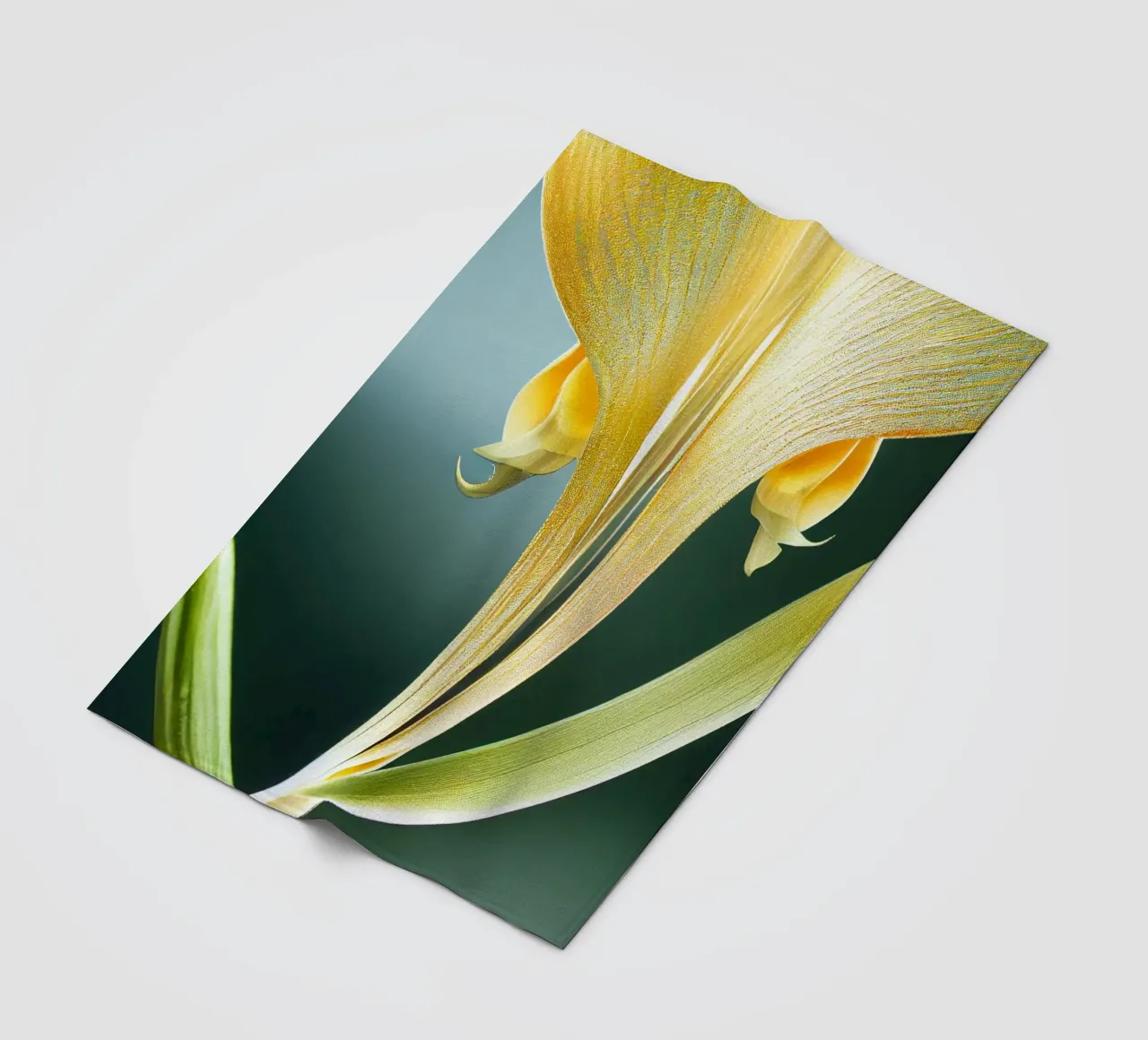 Macro fiore di orchidea coda di volpe coperta in pile da Bold Blooms