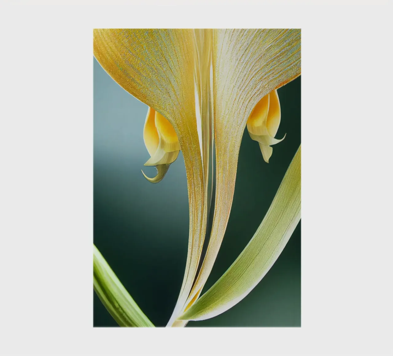 Macro fiore di orchidea coda di volpe diario da Bold Blooms