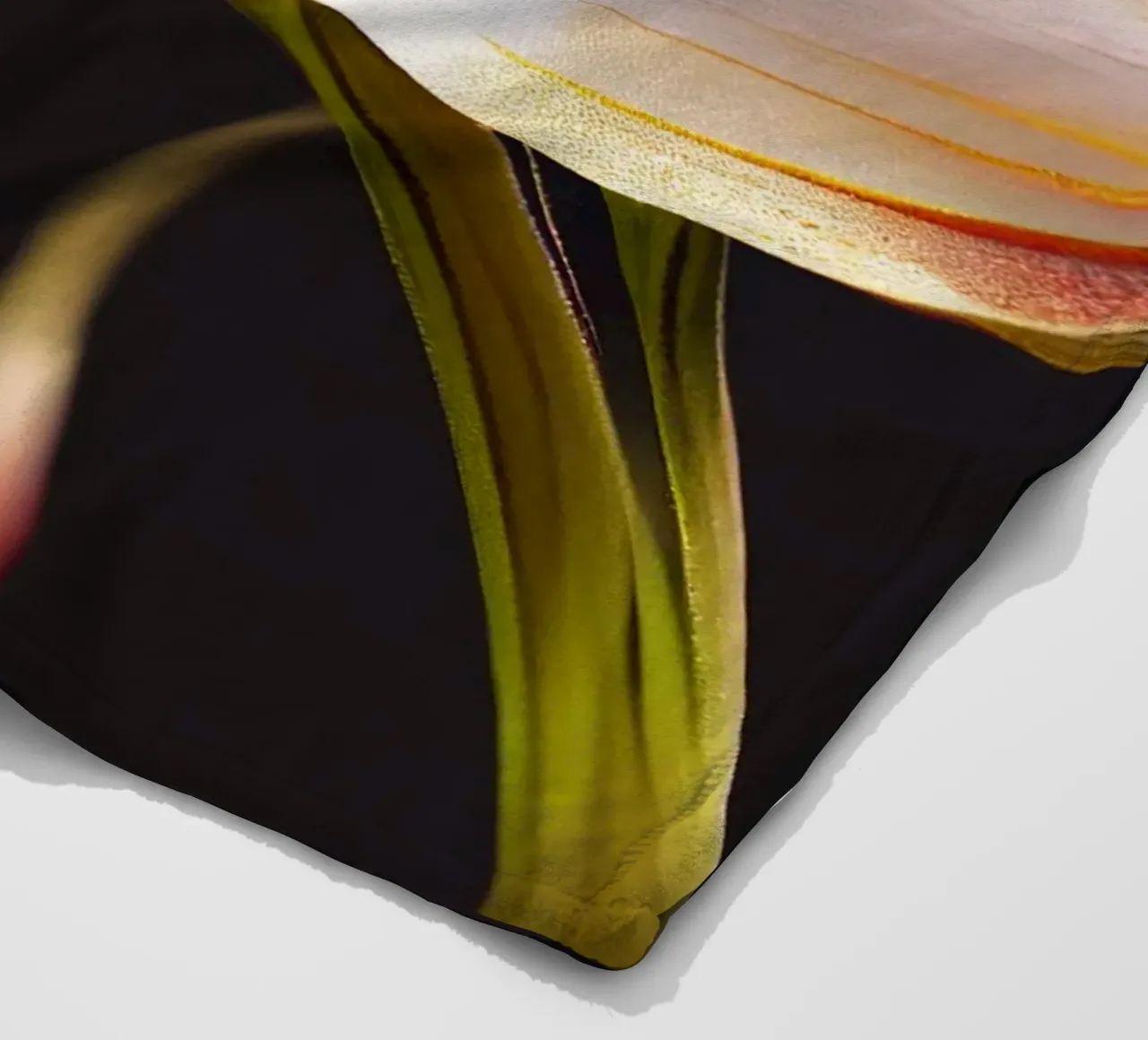Macro Glory Lily Flower coperta in pile da Bold Blooms