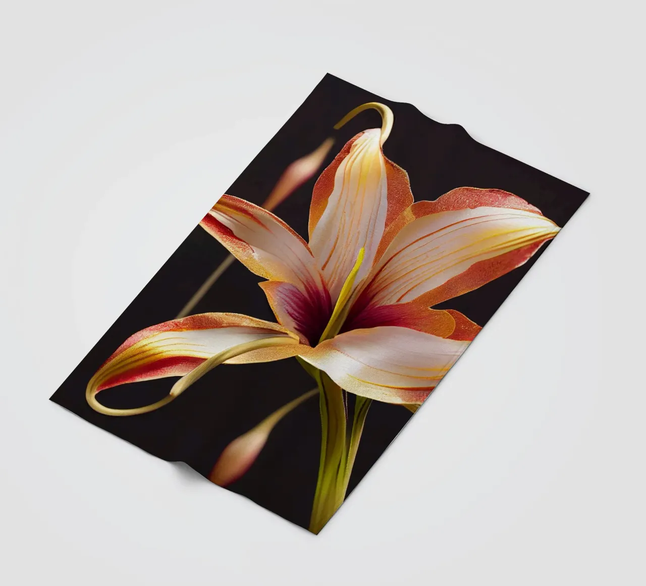 Macro Glory Lily Flower coperta in pile da Bold Blooms