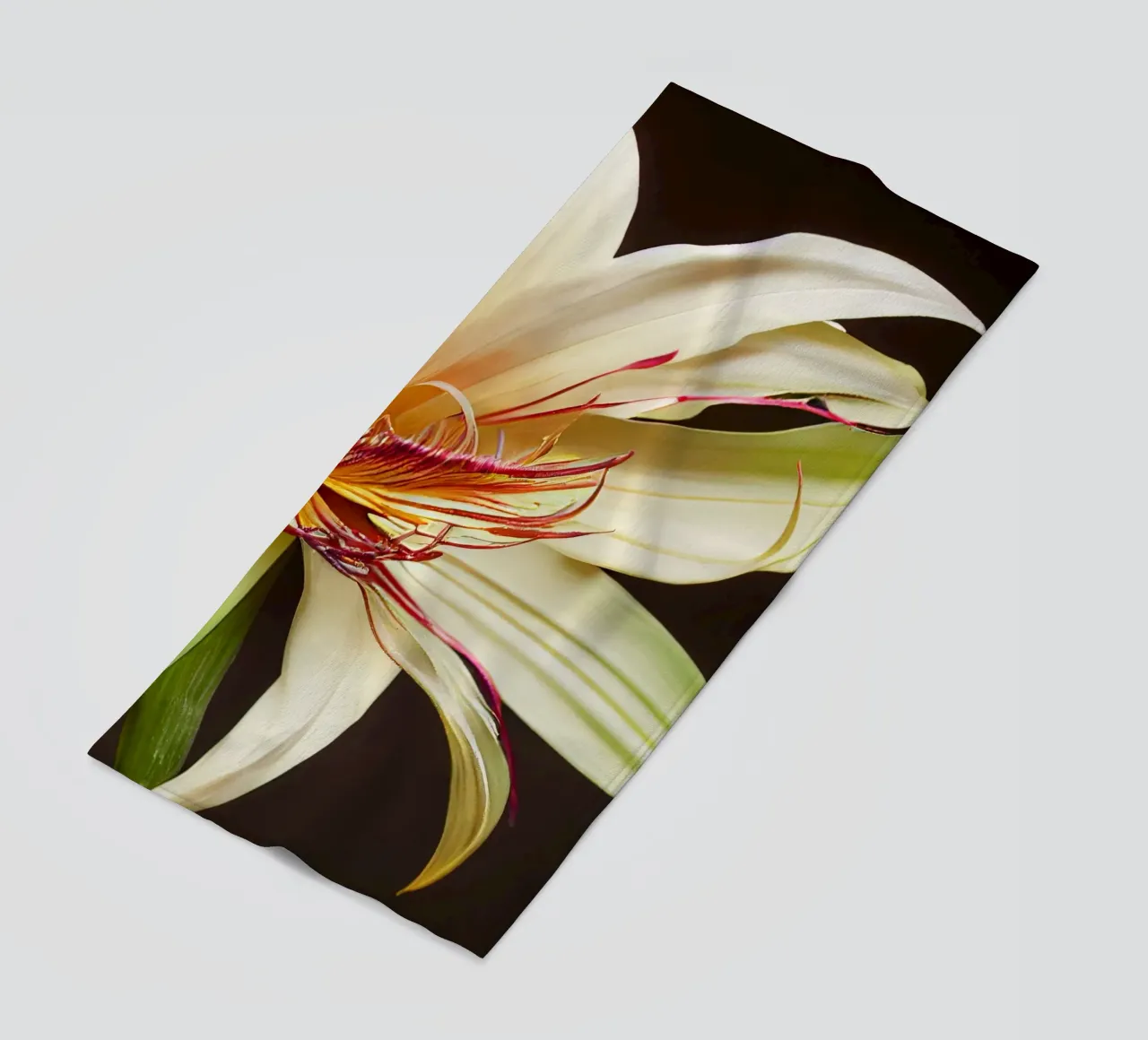Macro Grande fiore di giglio crinum telo mare da Bold Blooms