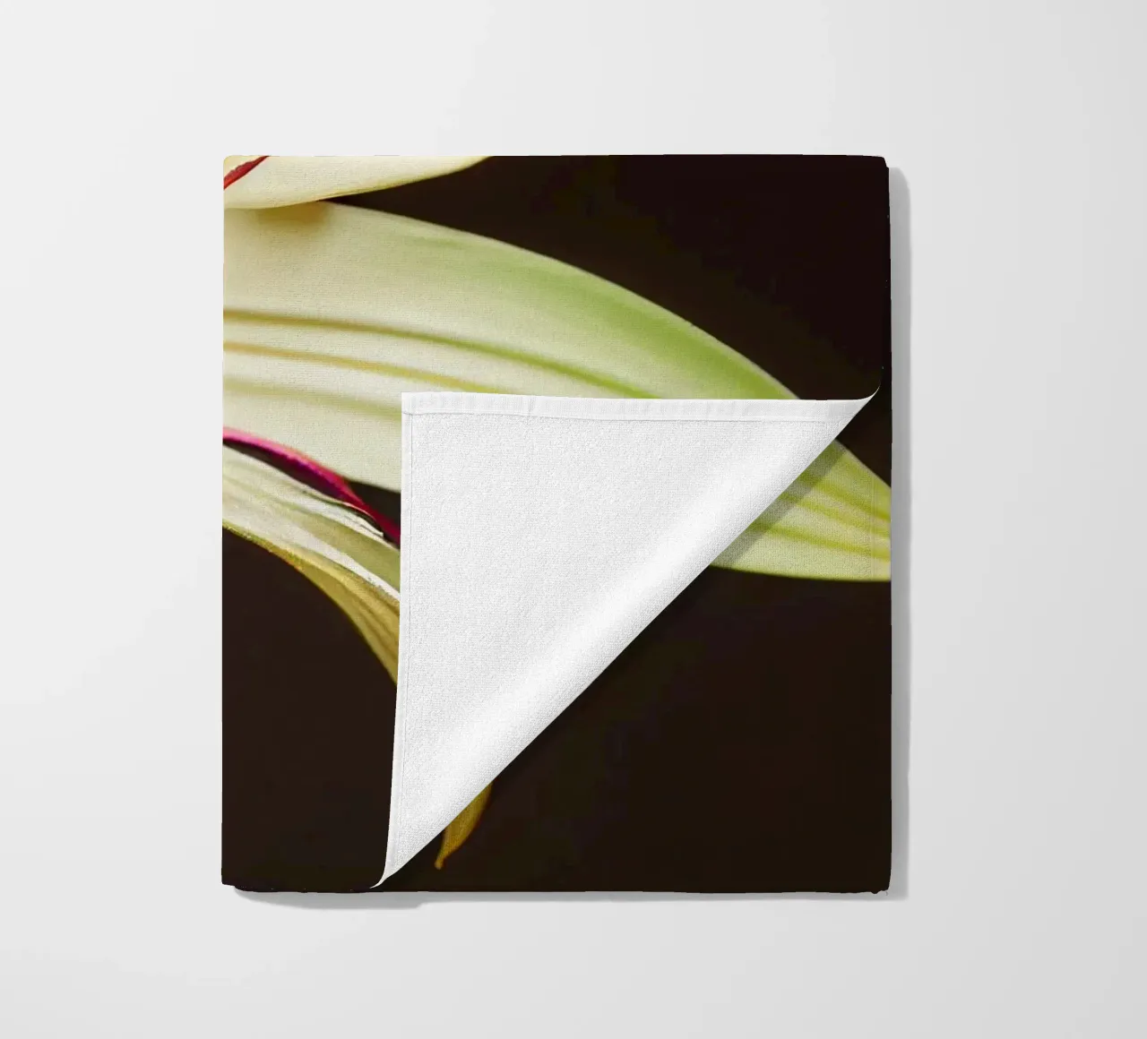 Macro Grande fiore di giglio crinum telo mare da Bold Blooms