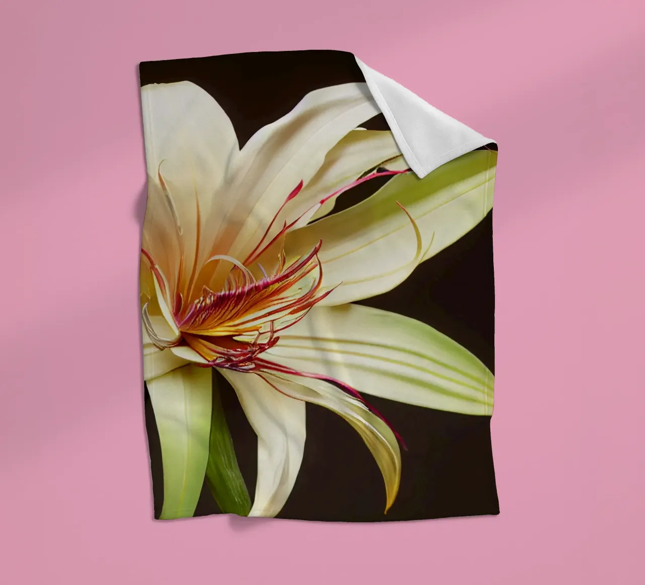 Macro Grande fiore di giglio crinum coperta in pile da Bold Blooms