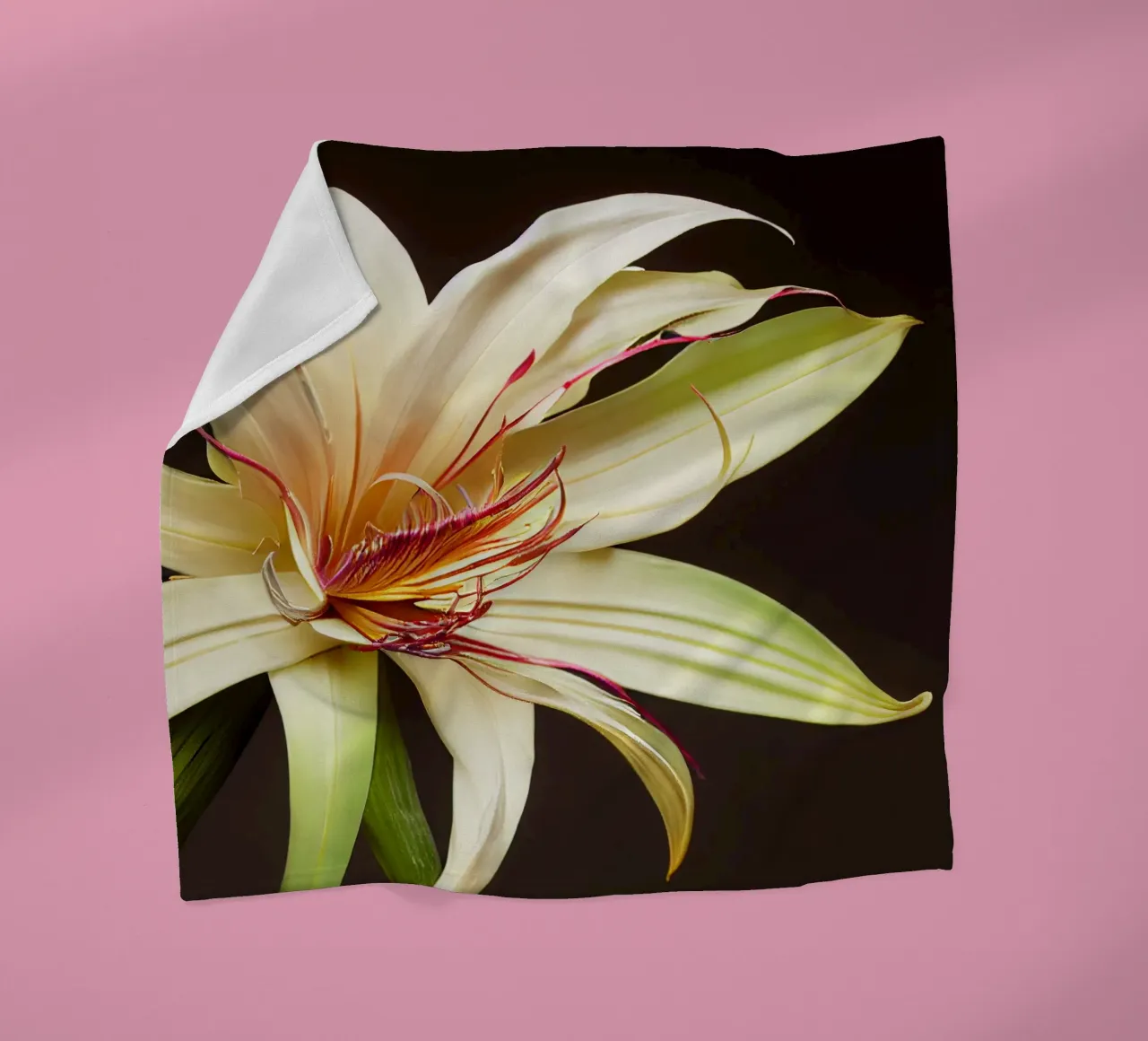 Macro Grande fiore di giglio crinum coperta in pile da Bold Blooms