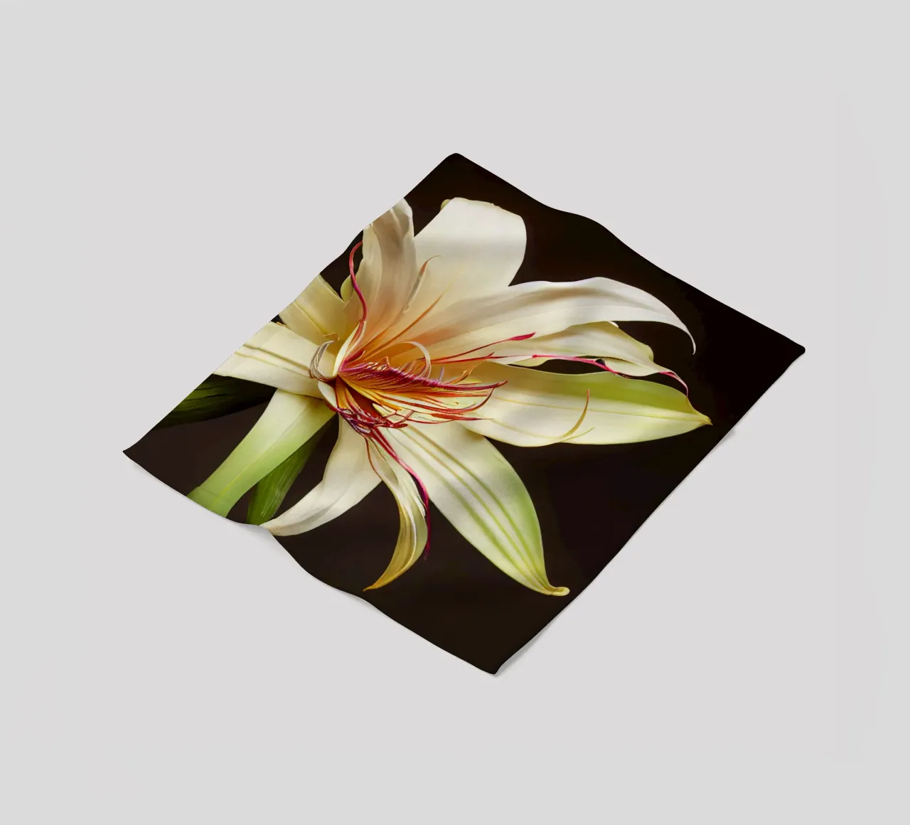Macro Grande fiore di giglio crinum coperta in pile da Bold Blooms