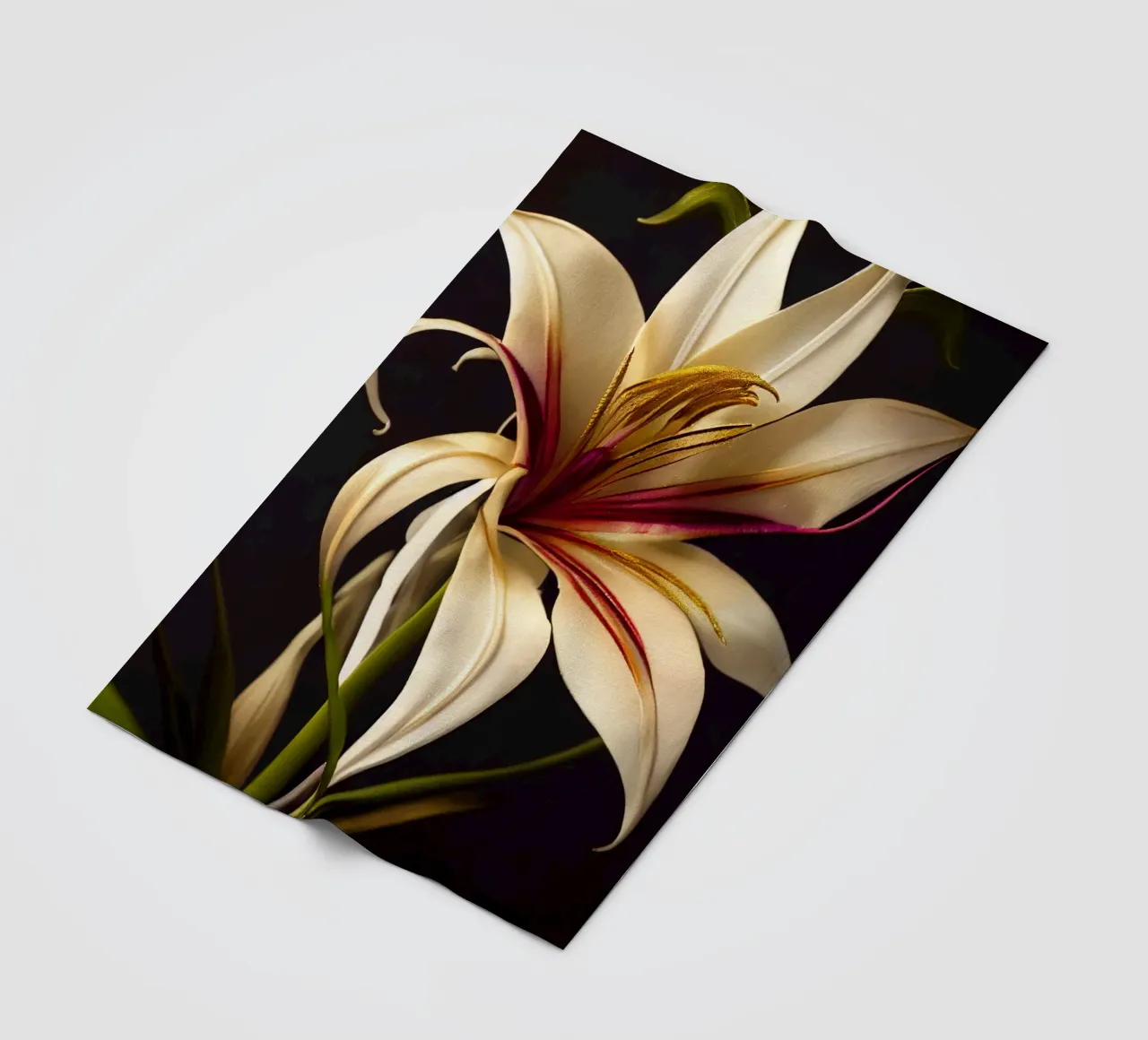 Macro Grande fiore di giglio crinum coperta in pile da Bold Blooms