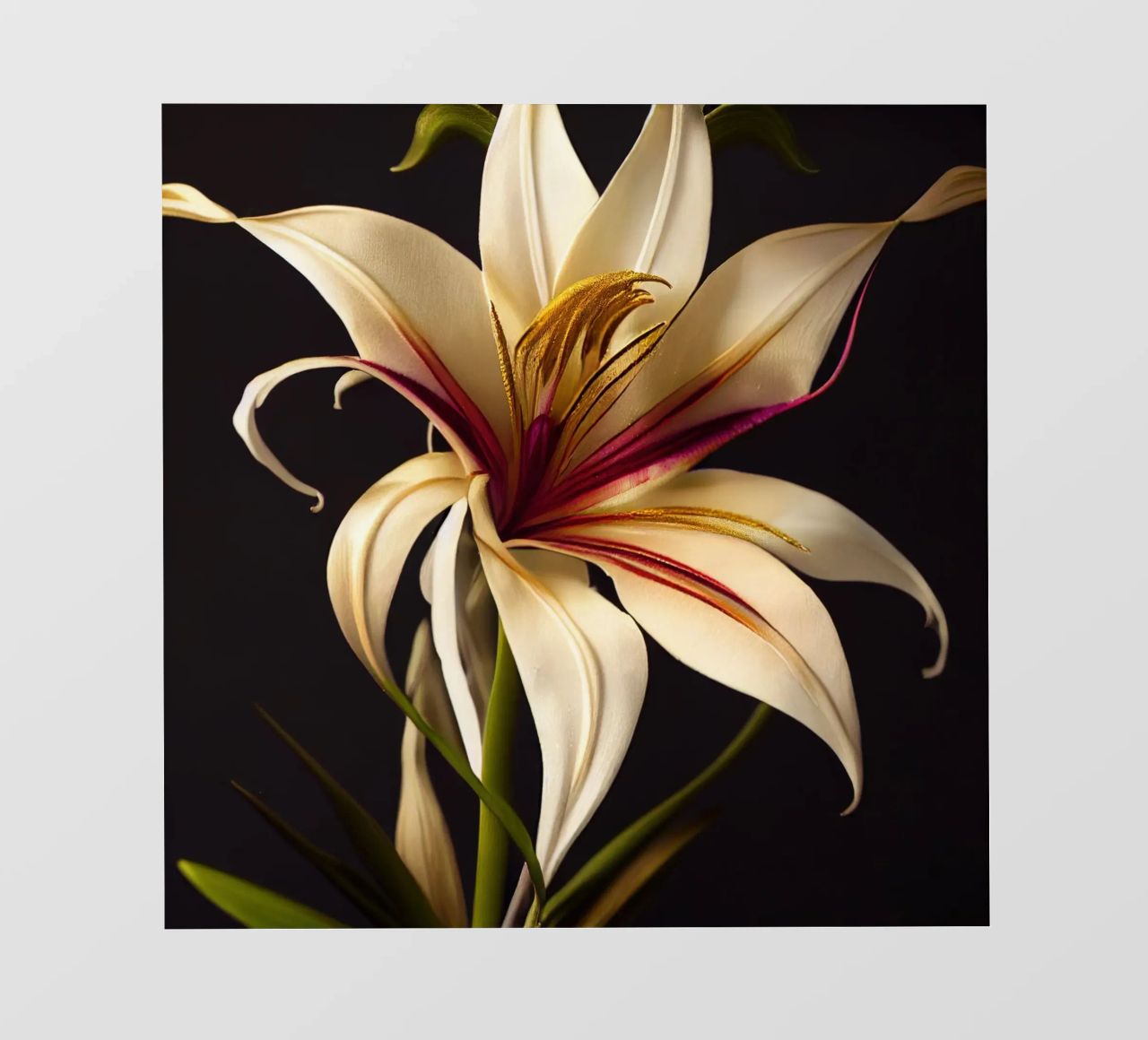 Macro Grande fiore di giglio crinum pellicola backlit da Bold Blooms