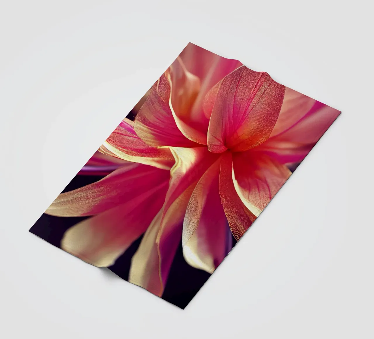 Macro fiore di agrifoglio coperta in pile da Bold Blooms