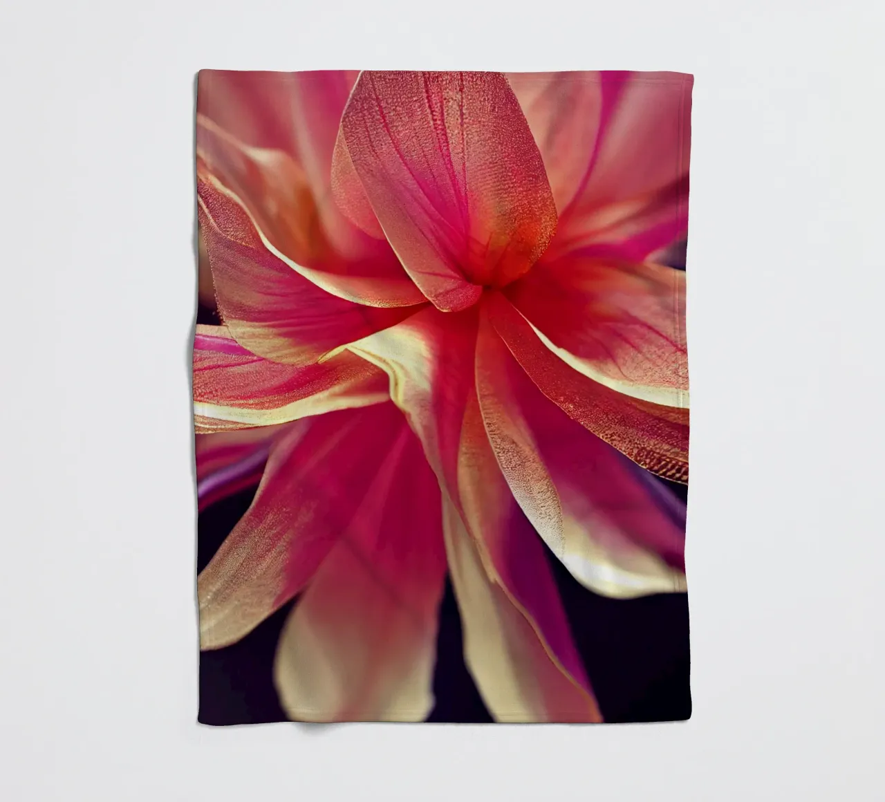 Macro fiore di agrifoglio coperta in pile da Bold Blooms