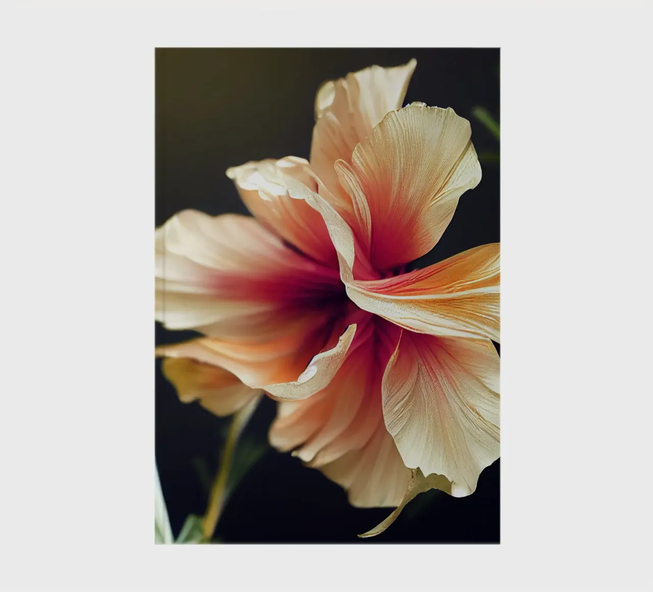 Macro Hollyhock Flower notebook by Bold Blooms
