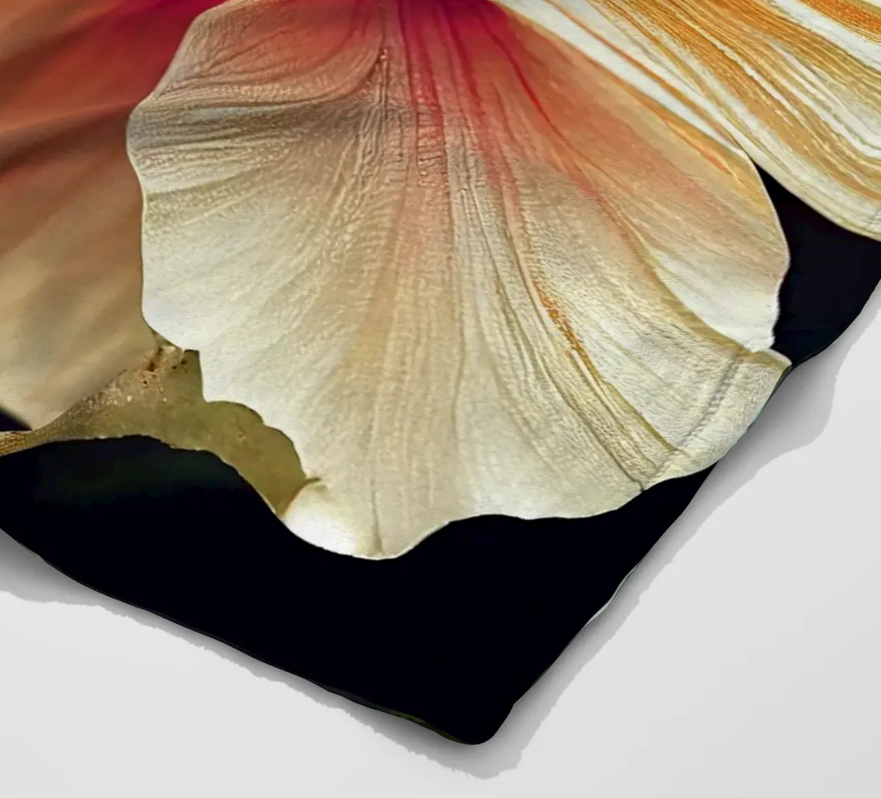 Macro fiore di agrifoglio coperta in pile da Bold Blooms