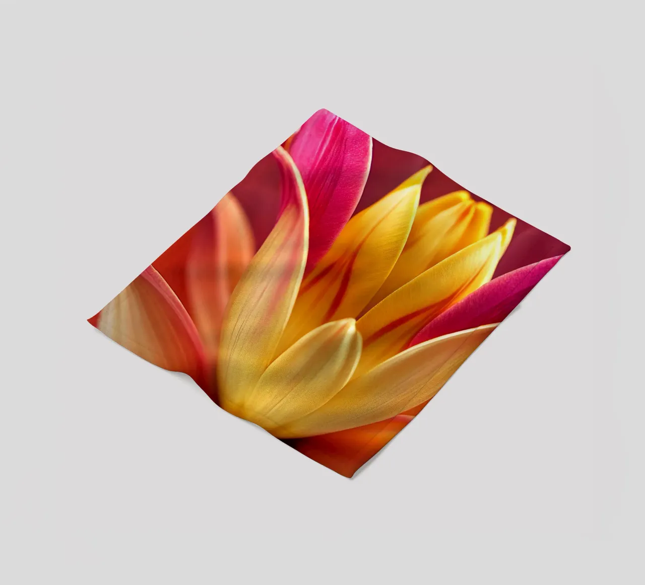 Macro fiore di tulipano indiano coperta in pile da Bold Blooms