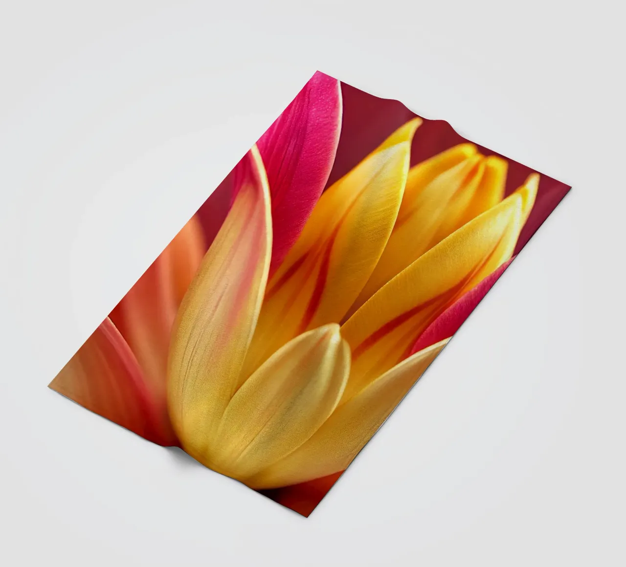 Macro fiore di tulipano indiano coperta in pile da Bold Blooms