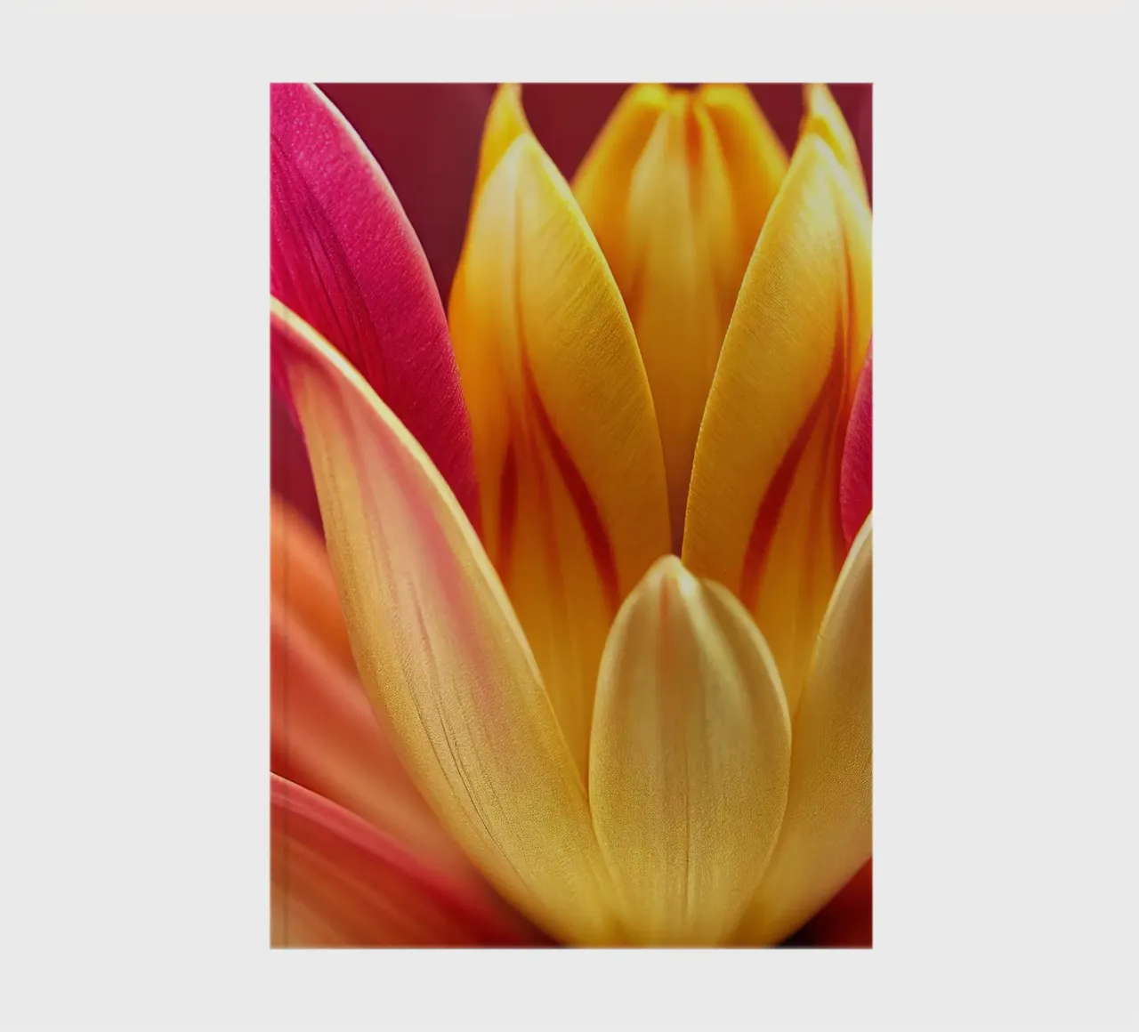 Macro Indian Tulip Flower notebook by Bold Blooms