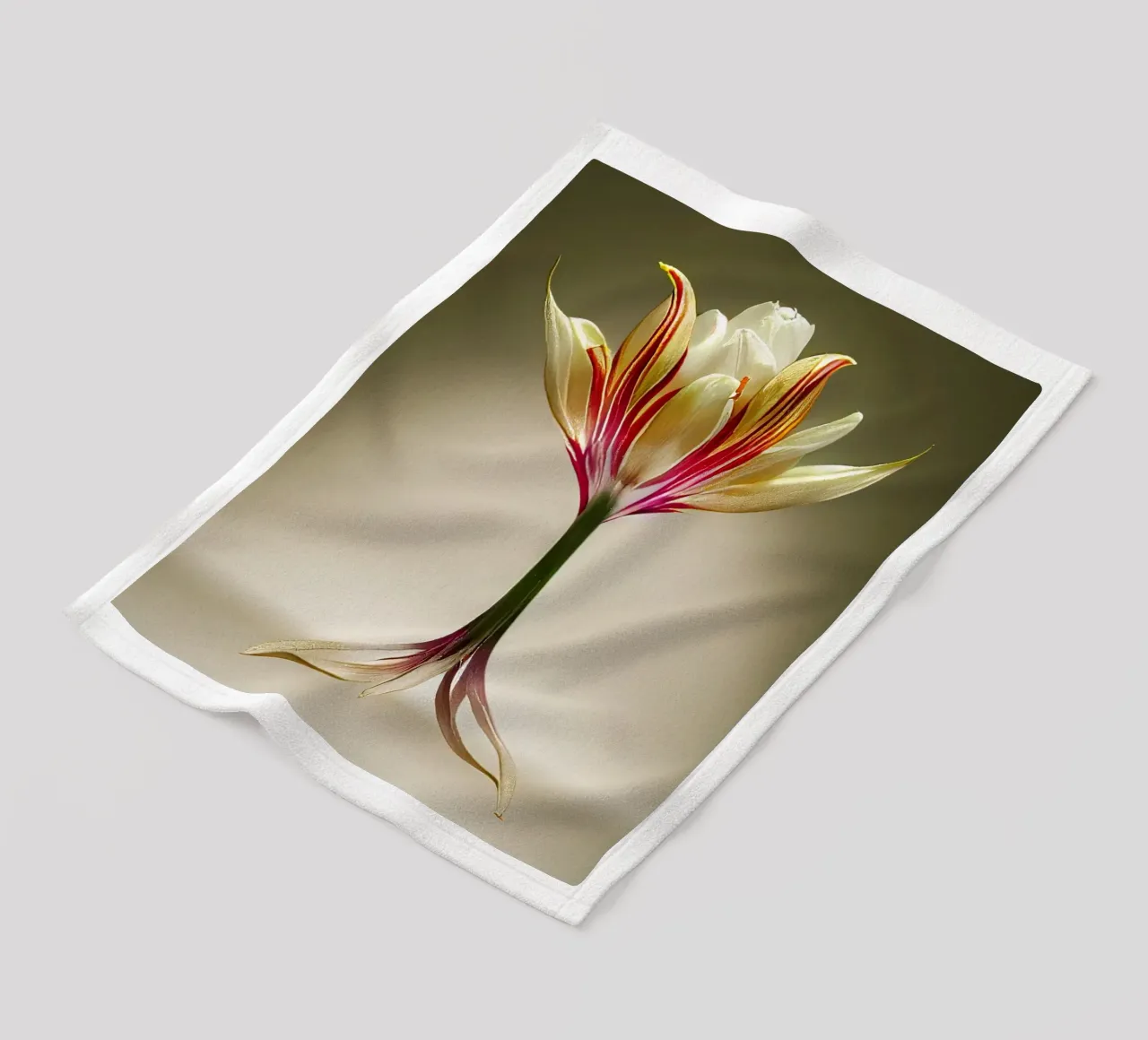 Macro fiore di tulipano indiano coperta in pile da Bold Blooms