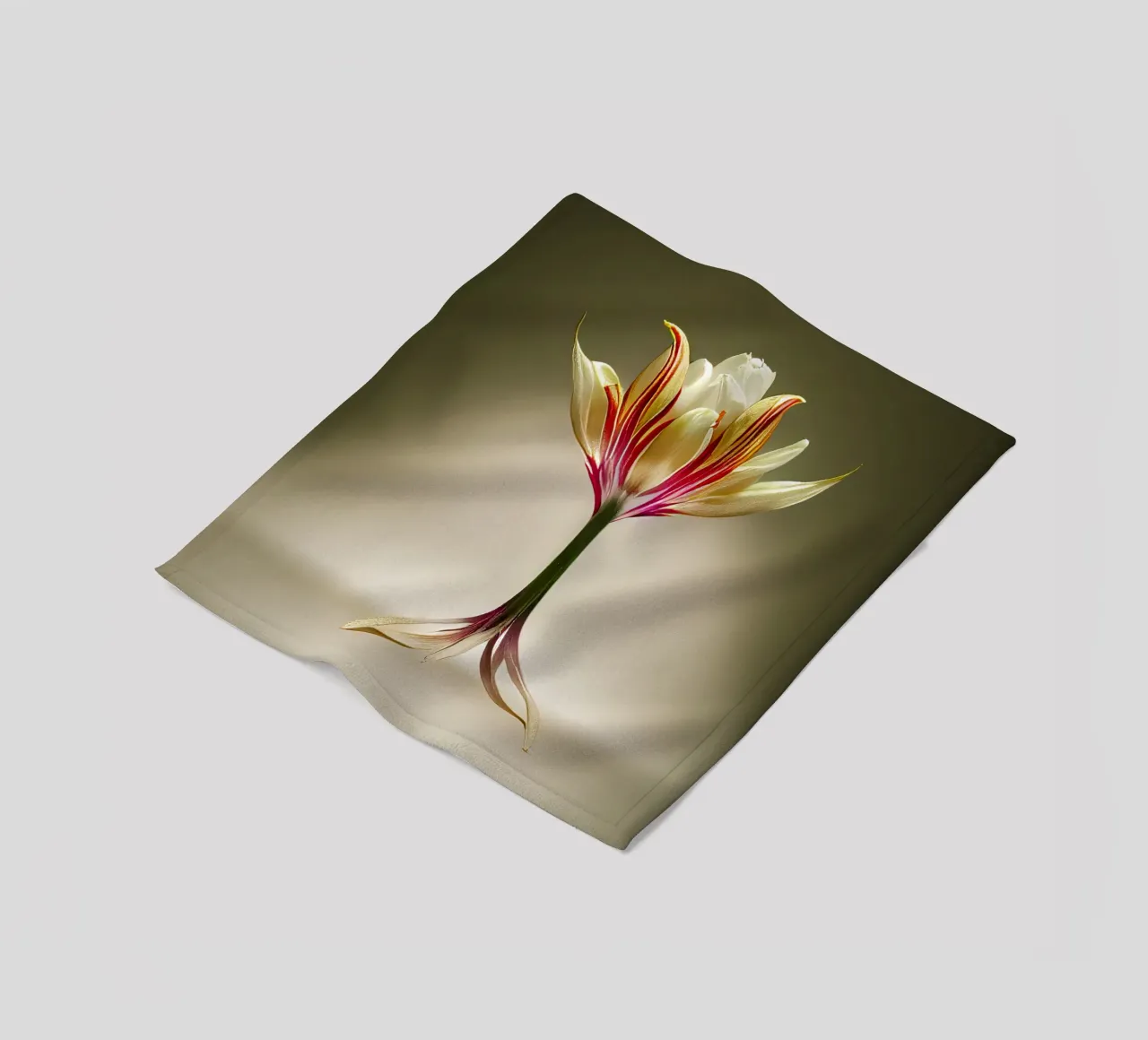 Macro fiore di tulipano indiano coperta in pile da Bold Blooms