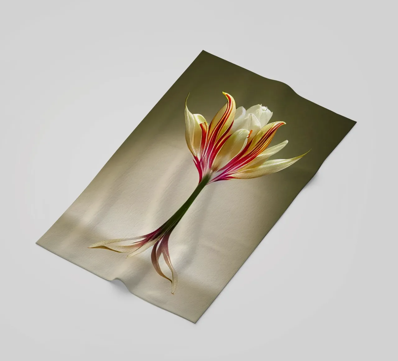 Macro fiore di tulipano indiano telo mare da Bold Blooms