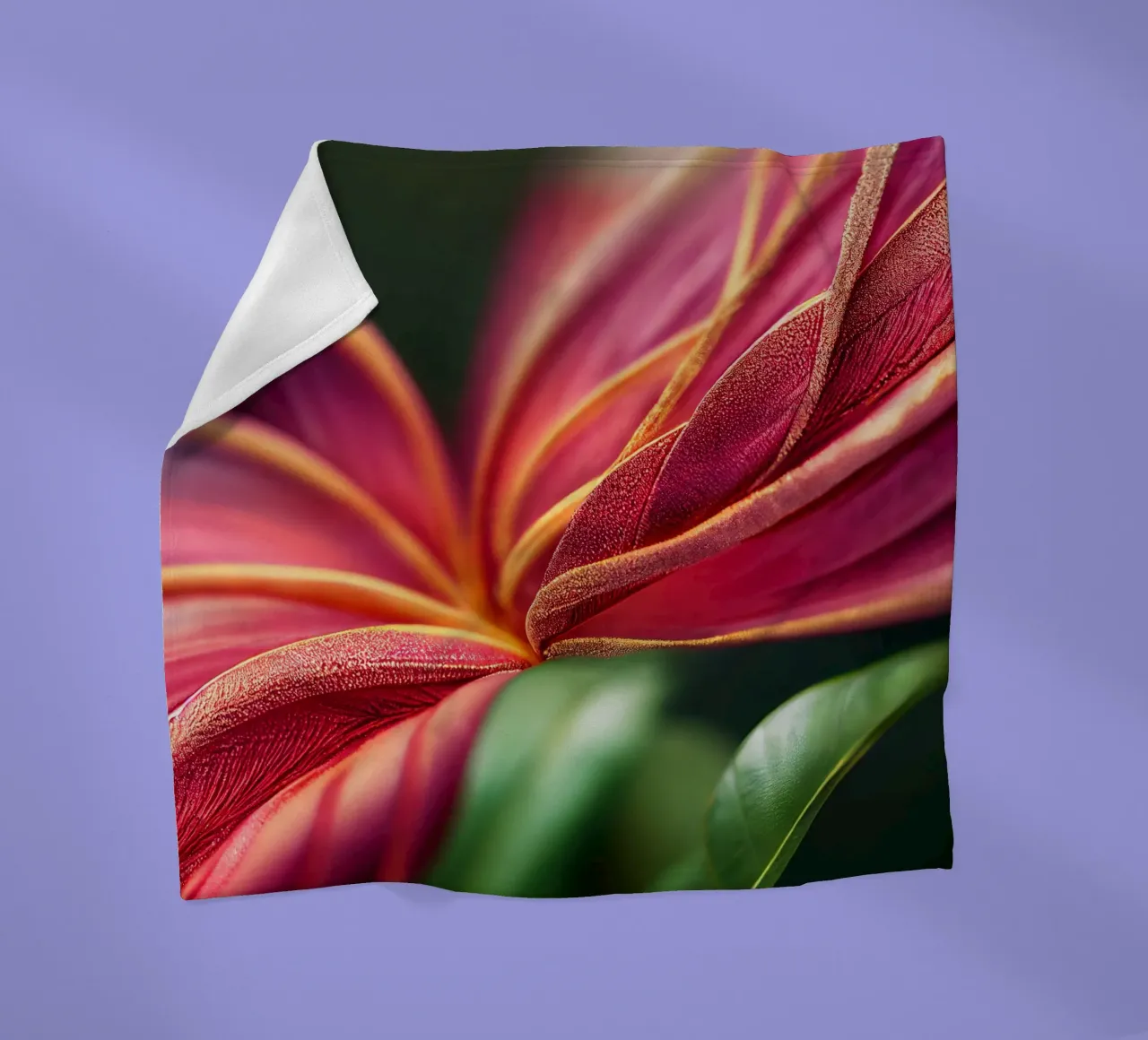 Macro Ixora Coccinea Flower coperta in pile da Bold Blooms