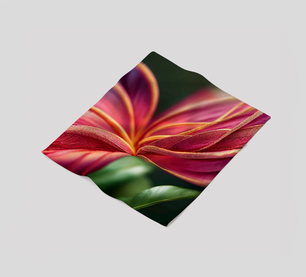 Macro Ixora Coccinea Flower coperta in pile da Bold Blooms