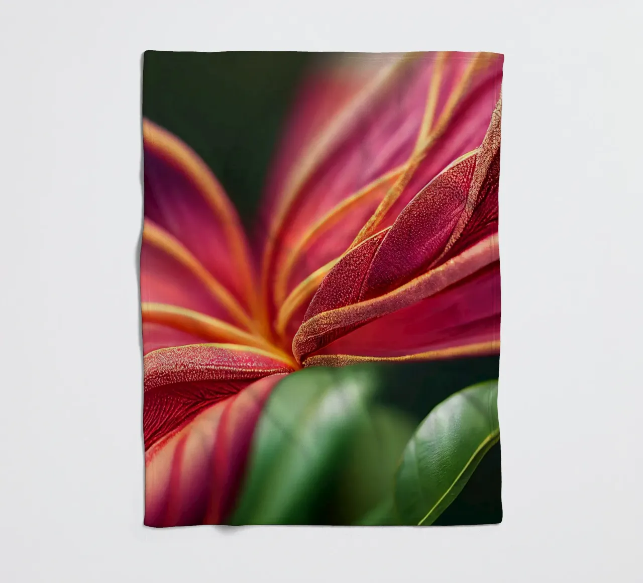 Macro Ixora Coccinea Flower coperta in pile da Bold Blooms
