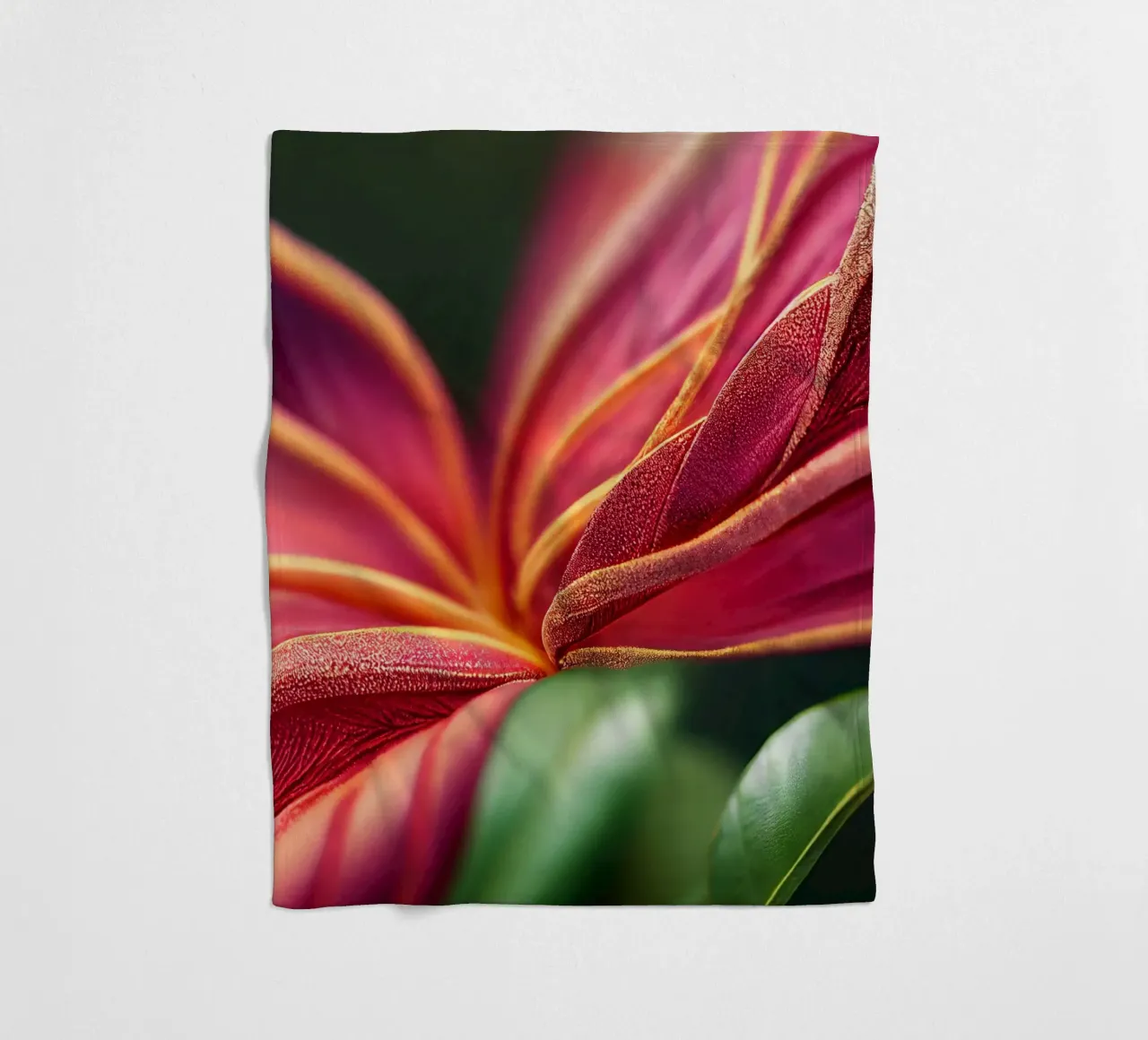 Macro Ixora Coccinea Flower coperta in pile da Bold Blooms