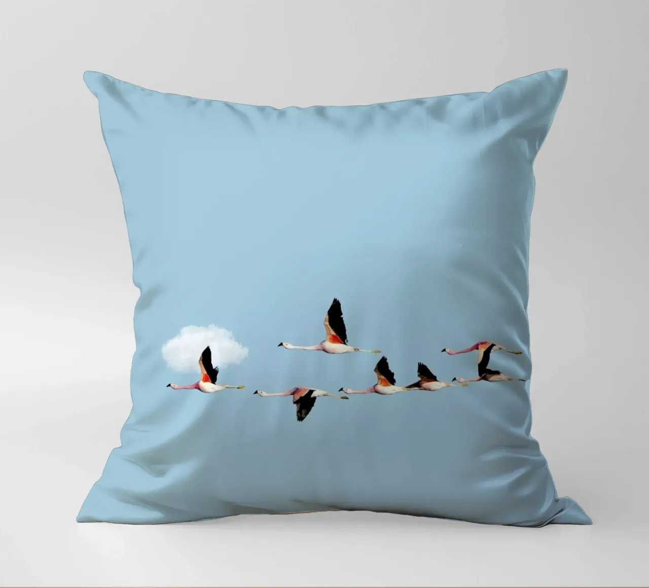 Ride decorative cushion by Rafael Burato