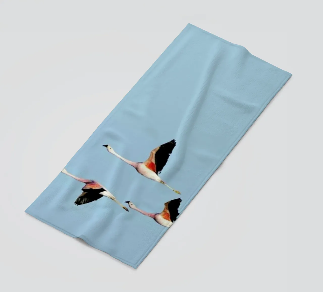 Ride telo mare da Rafael Burato