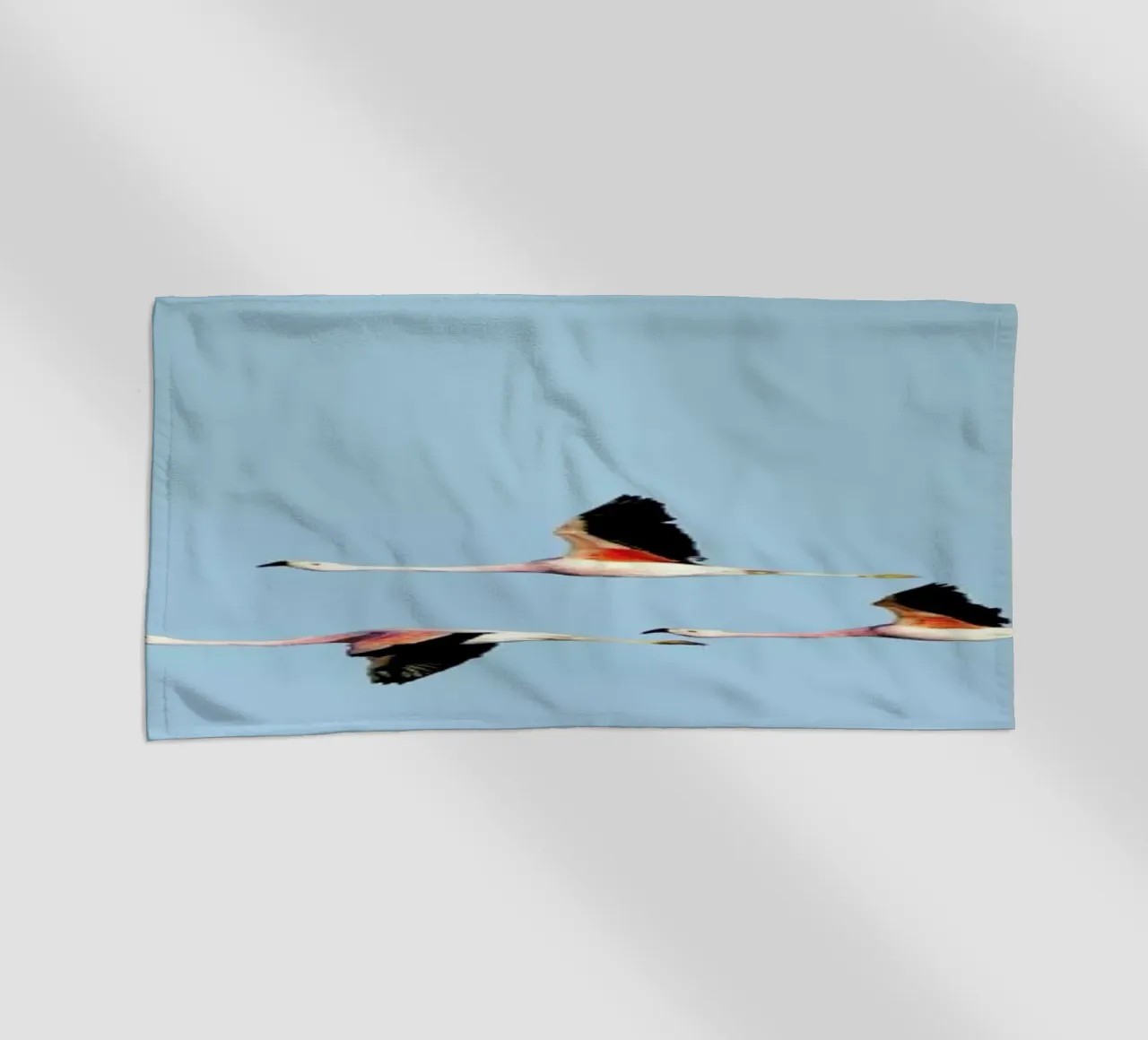 Ride telo mare da Rafael Burato