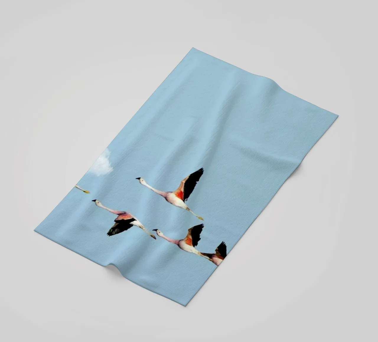 Ride telo mare da Rafael Burato