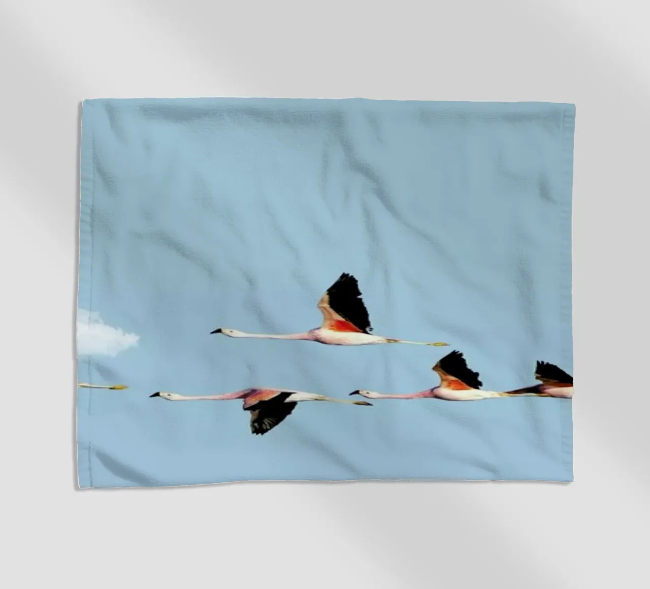 Ride telo mare da Rafael Burato