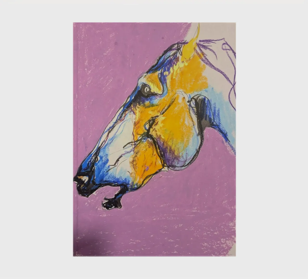 Cheval jaune diario da Bénédicte Berthod
