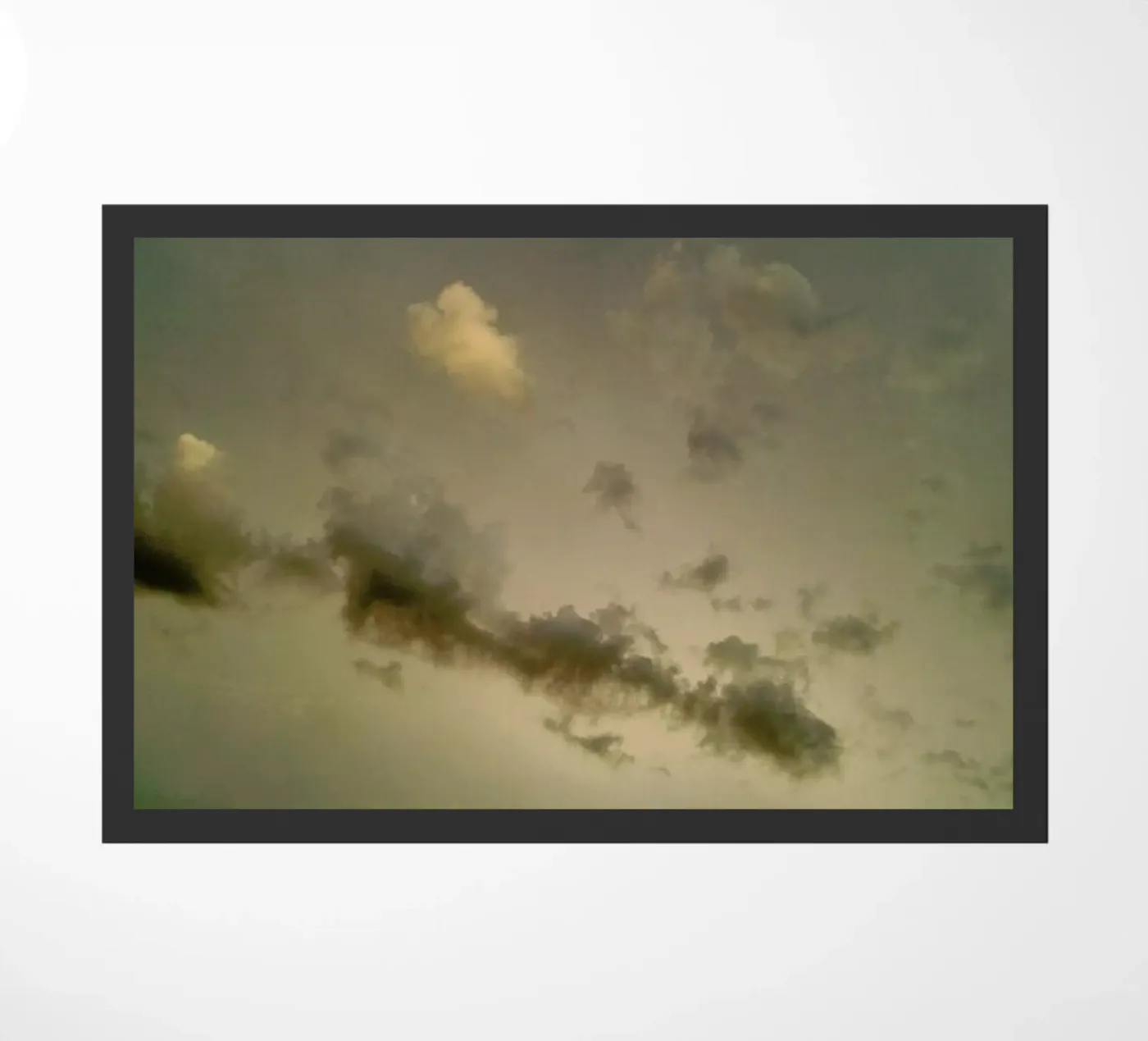 The Splendor zerbino da Angelo Cerantola