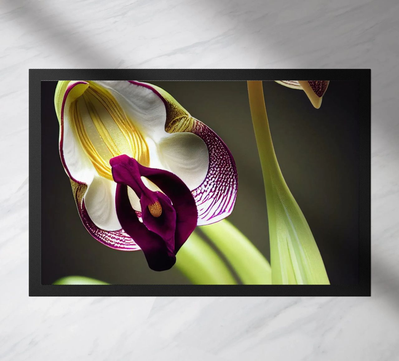 Macro fiore di orchidea Ladys Slipper zerbino da Bold Blooms