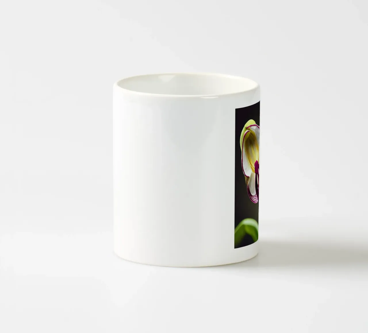 Flor de orquídea Ladys Slipper taza de cerámica de Bold Blooms