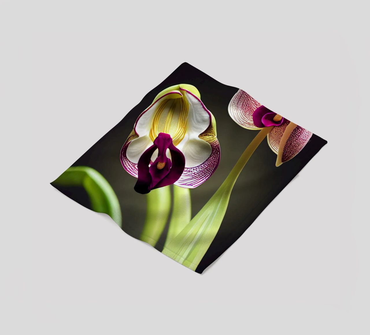 Macro fiore di orchidea Ladys Slipper coperta in pile da Bold Blooms