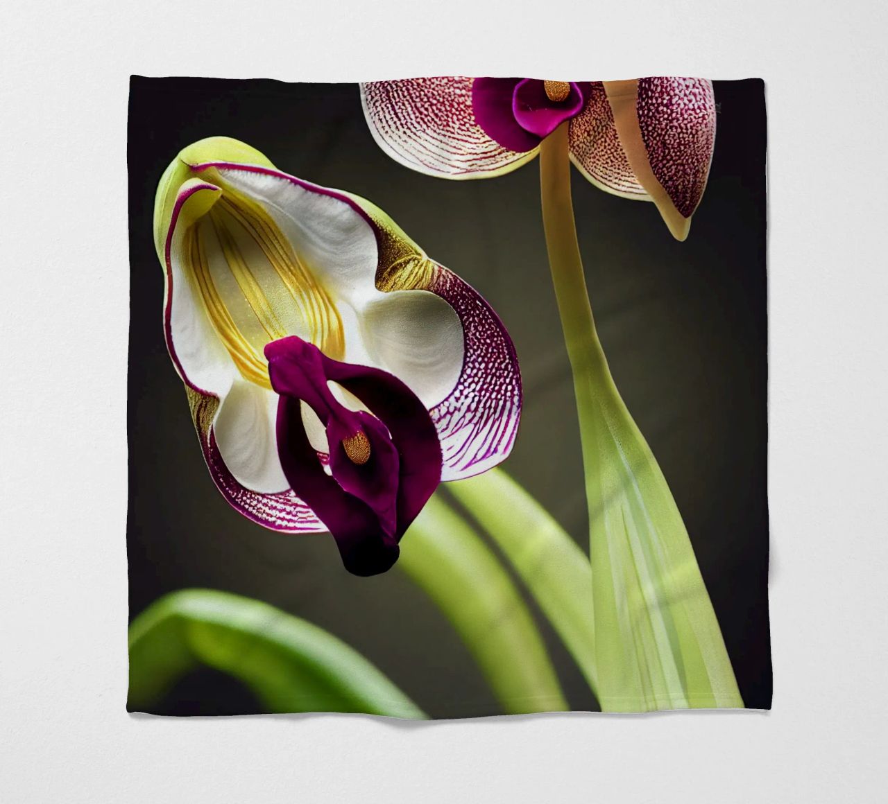 Macro fiore di orchidea Ladys Slipper coperta in pile da Bold Blooms