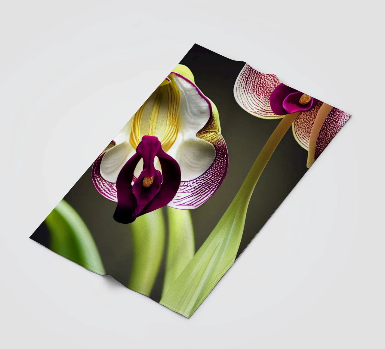 Macro fiore di orchidea Ladys Slipper coperta in pile da Bold Blooms