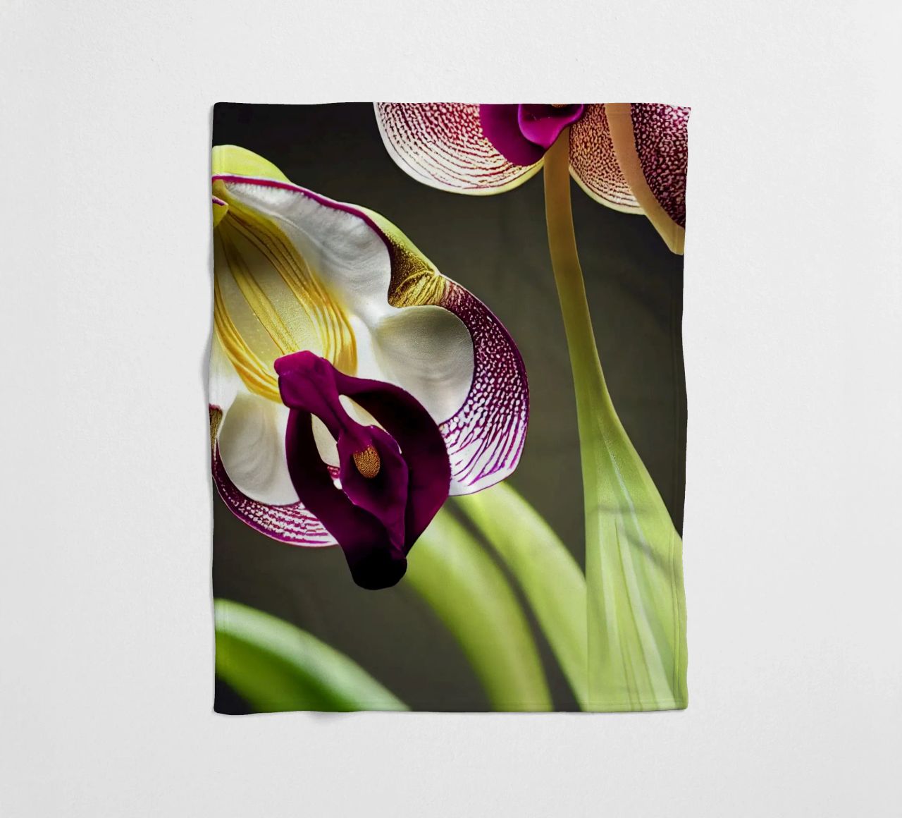 Macro fiore di orchidea Ladys Slipper coperta in pile da Bold Blooms