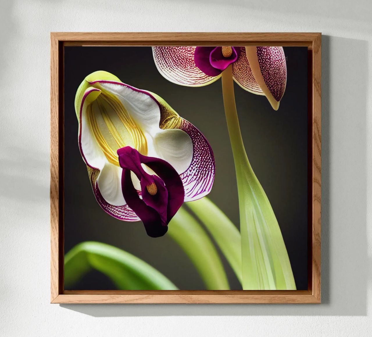 Macro fiore di orchidea Ladys Slipper alluminio dibond da Bold Blooms