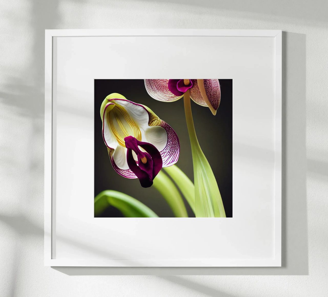Macro fiore di orchidea Ladys Slipper poster da Bold Blooms