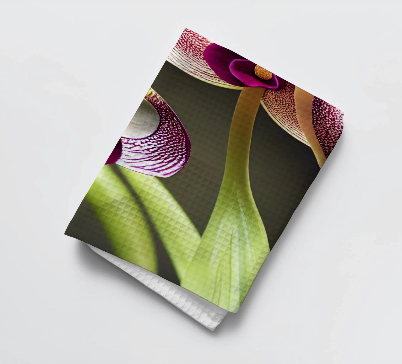 Macro fiore di orchidea Ladys Slipper canovaccio da cucina da Bold Blooms